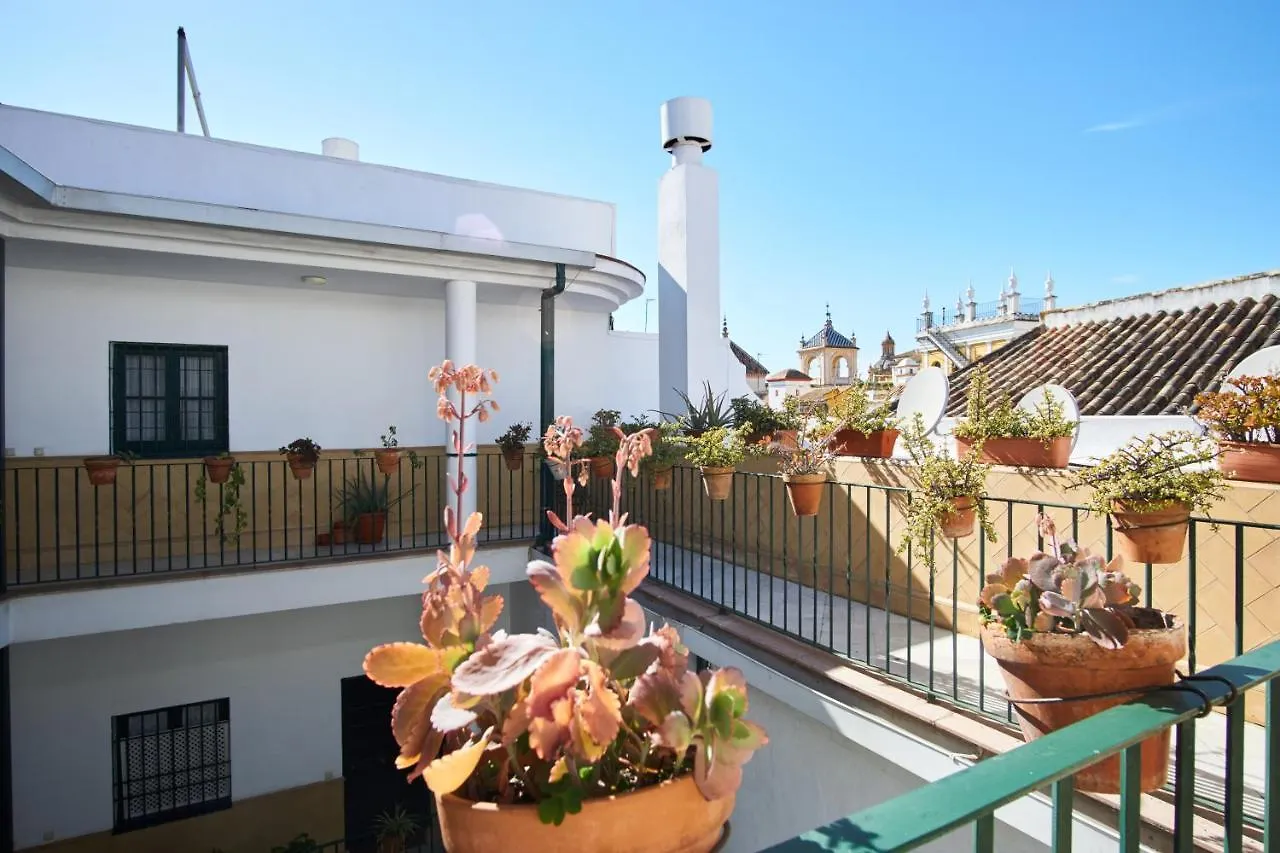 Archeros Skyview Seville